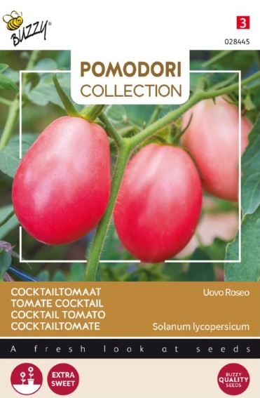 Tomaat Pink Thai Egg (Solanum) 750 zaden